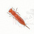 Приманка "Fanatik" Larva 4.5" #017