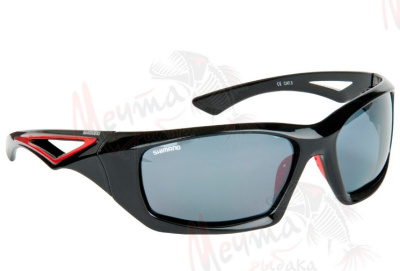 ОЧКИ "WFT" #1D-F 905-101